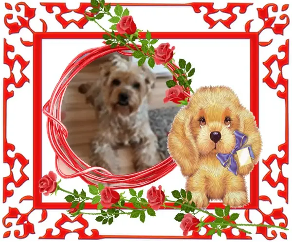 Condolence image of 79 Tygodni....Bez Ciebie❤️⭐️Ukochany❤️❤️❤️❤️❤️❤️Jackusiu❤️⭐️