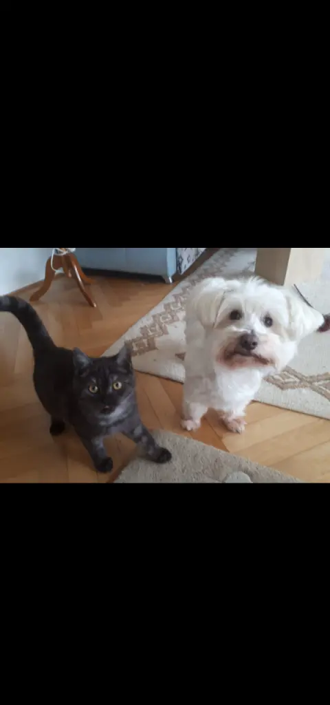 Condolence image of Ein lieber Gruß zum Wochenbeginn ♥️