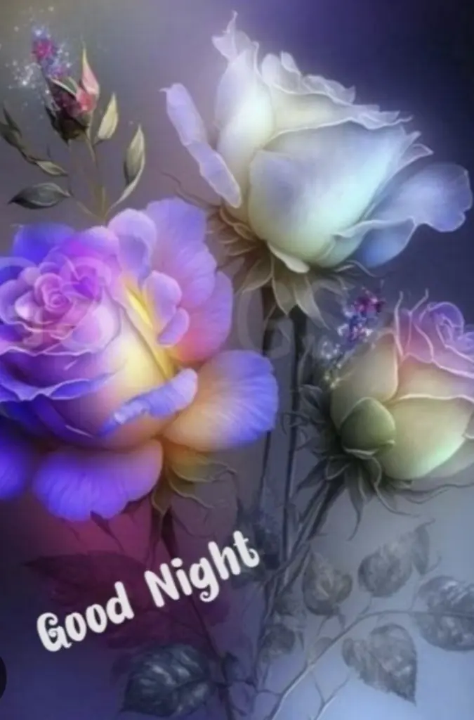 Condolence image of ⭐️❤️Dobranoc nasz kochany Jackusiu❤️⭐️