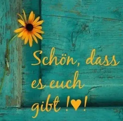 Condolence image of Martina mit Seelenhund Samy ♥️⭐♥️ für immer im Herzen 