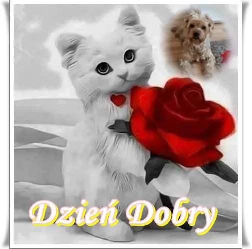 Condolence image of ❤️❤️❤️❤️❤️❤️❤️❤️❤️❤️❤️❤️