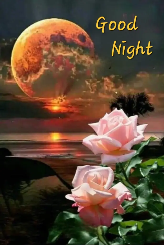 Condolence image of ⭐️❤️Dobranoc nasz kochany Jackusiu❤️⭐️