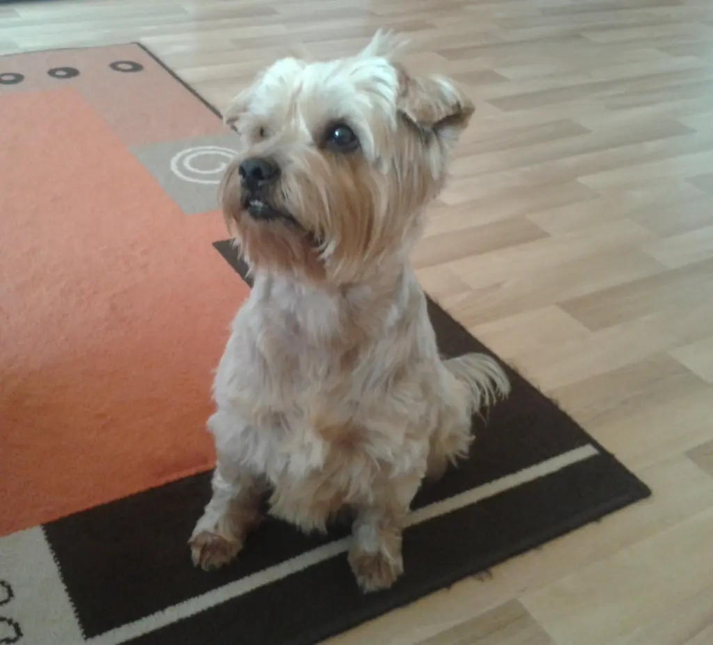 Condolence image of Ewa & Krzysztof 