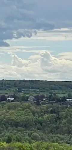 Condolence image of Angelika mit Luna ❤️