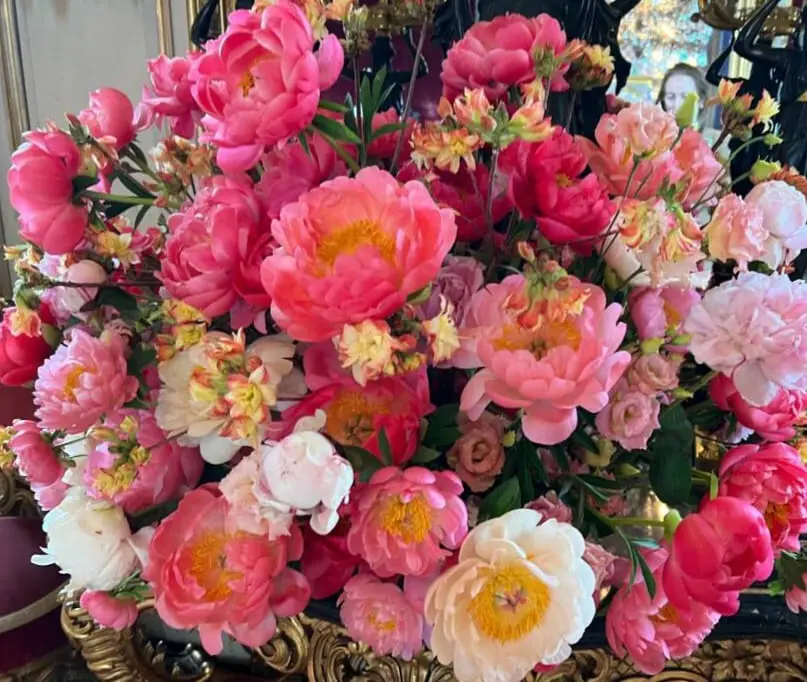 Condolence image of Claudia mit ASKO❤️ 