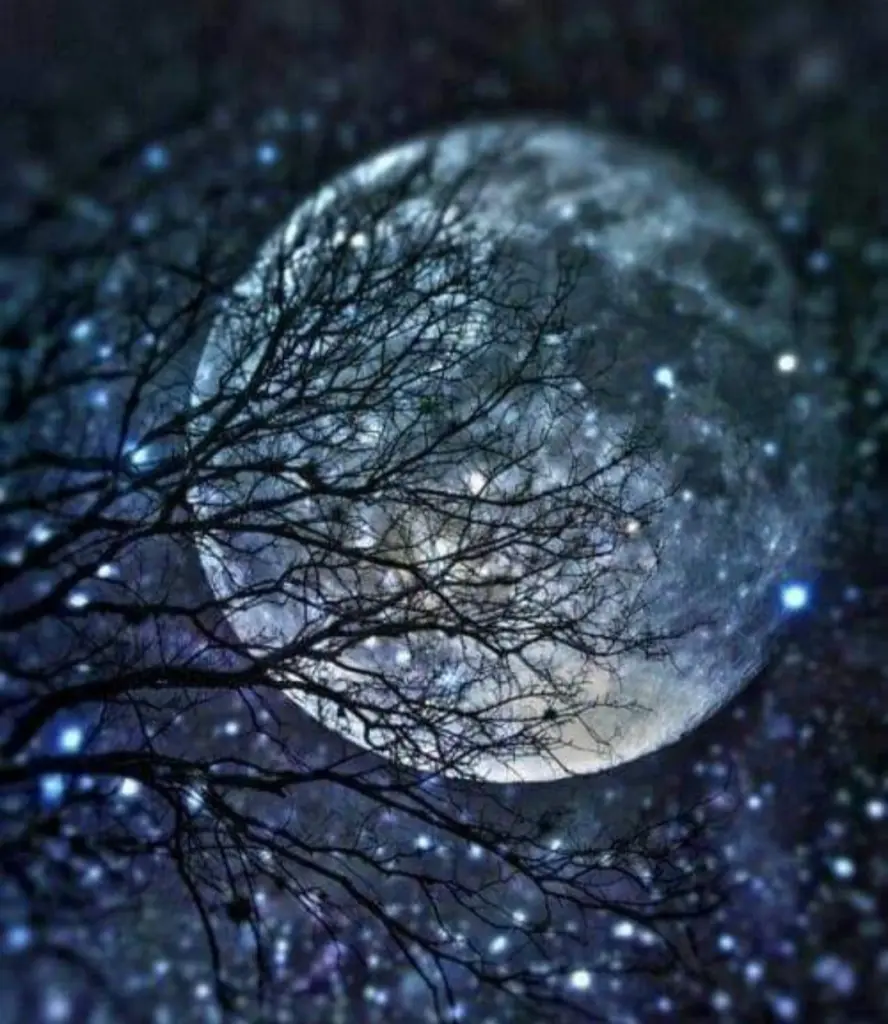 Condolence image of ⭐️❤️Dobranoc nasz kochany Jackusiu❤️⭐️