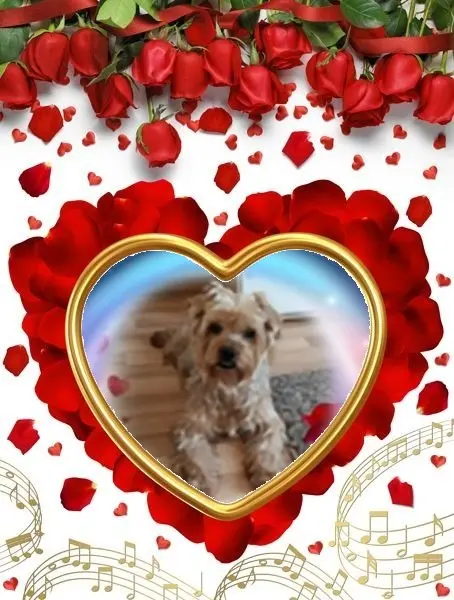 Condolence image of Zielone❤️Świątki❤️❤️