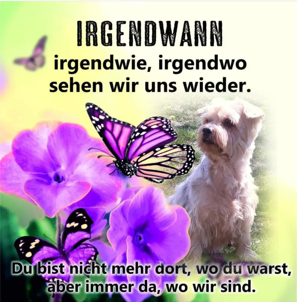 Condolence image of Ewa & Krzysztof 