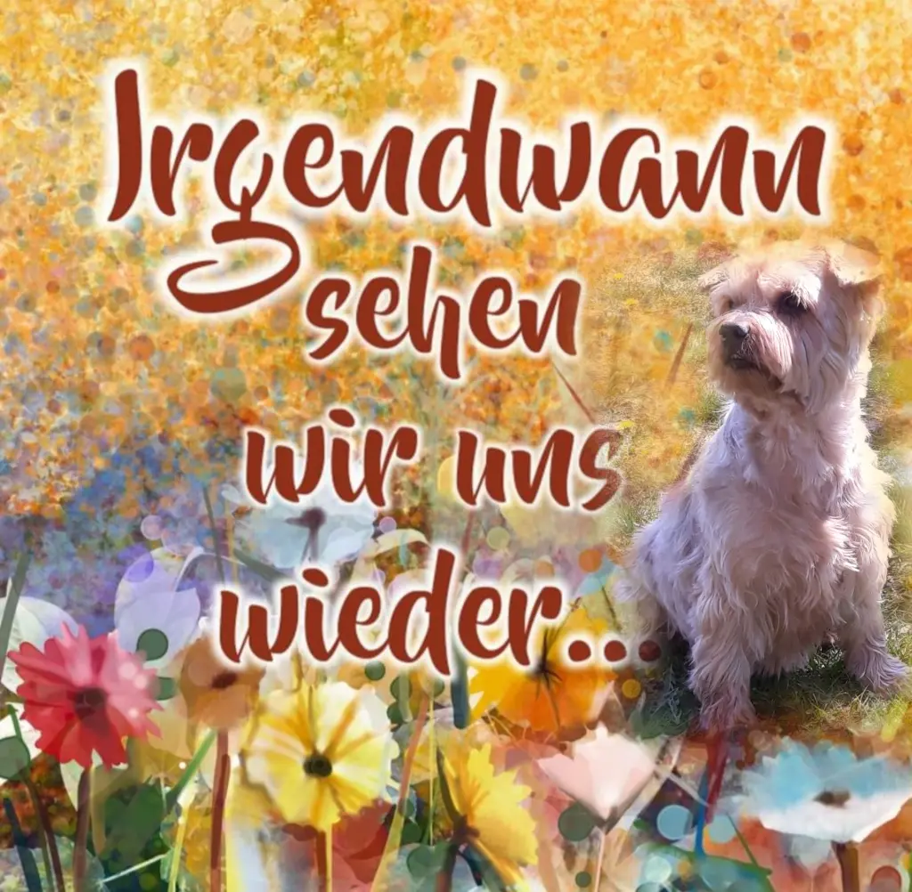 Condolence image of Ewa & Krzysztof 