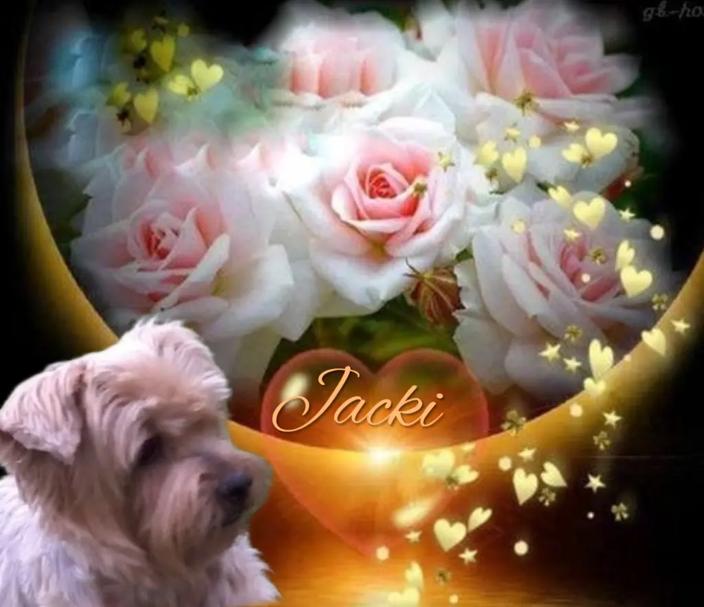 Condolence image of Dobranoc ❤️Jacki ❤️