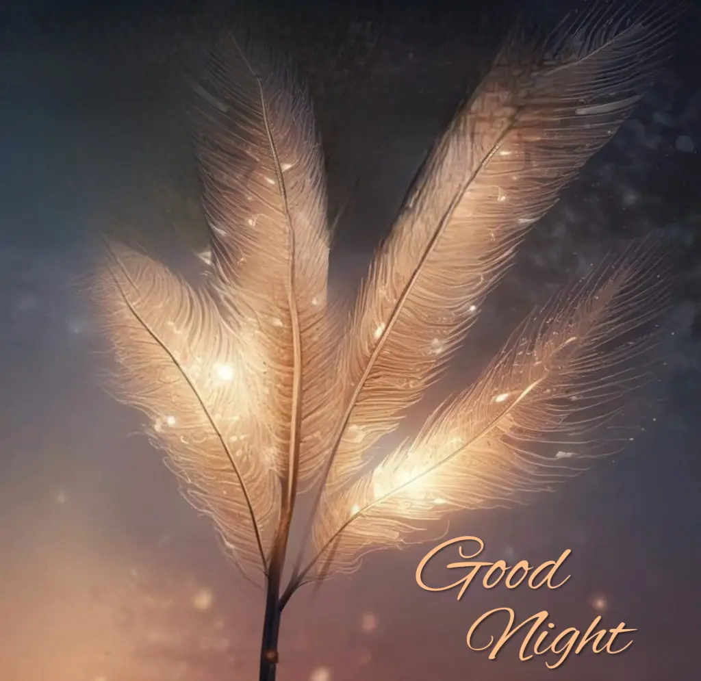 Condolence image of ⭐️❤️Dobranoc nasz kochany Jackusiu❤️⭐️