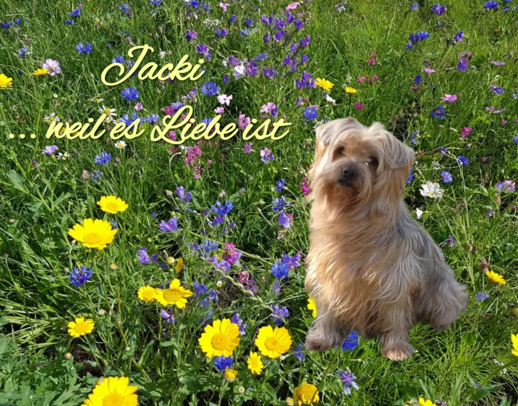 Condolence image of ♥️Immer im Herzen ❤️