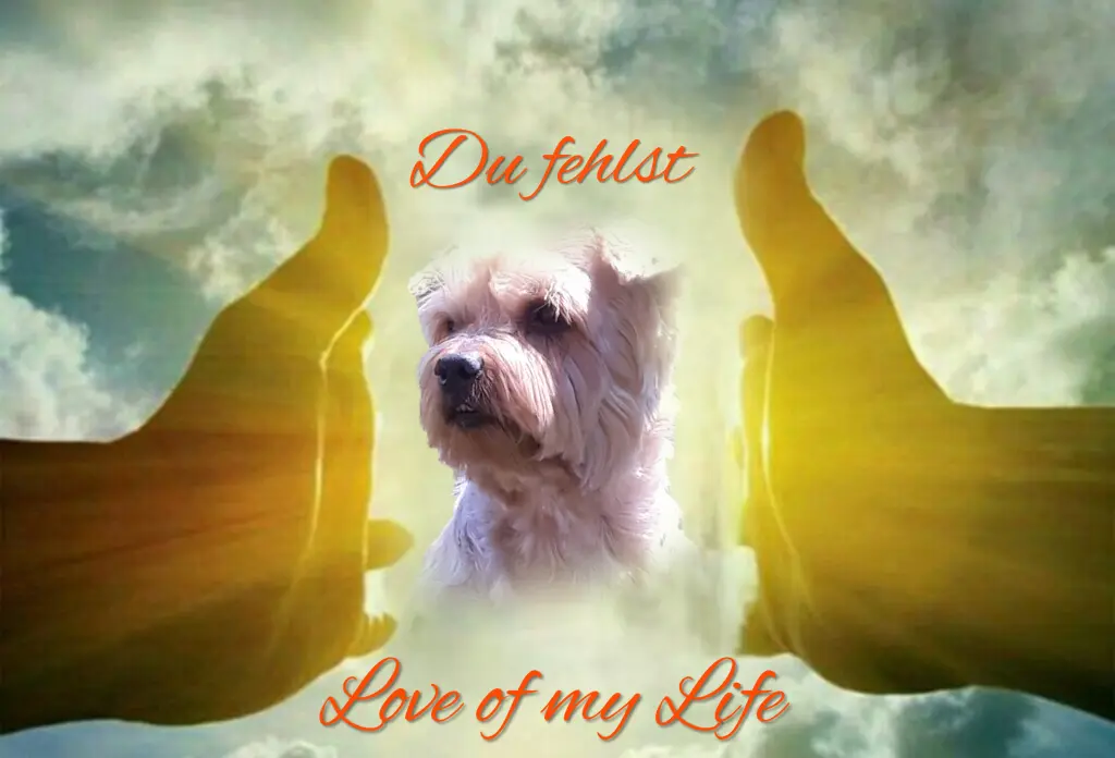 Condolence image of Ewa