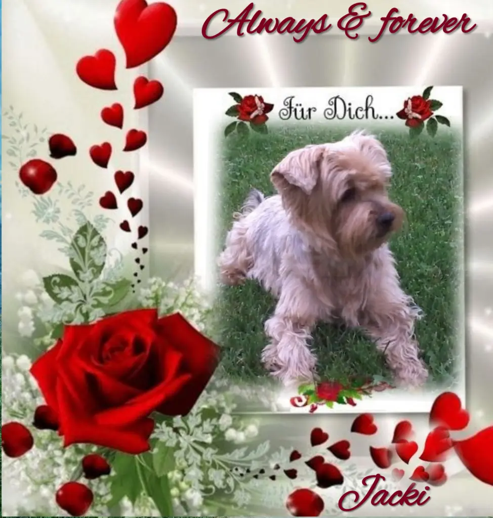 Condolence image of Immer im Herzen ❤️