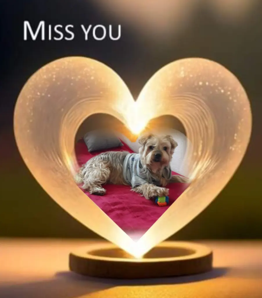 Condolence image of ⭐️Dobranoc nasz kochany Jackusiu♥️ 