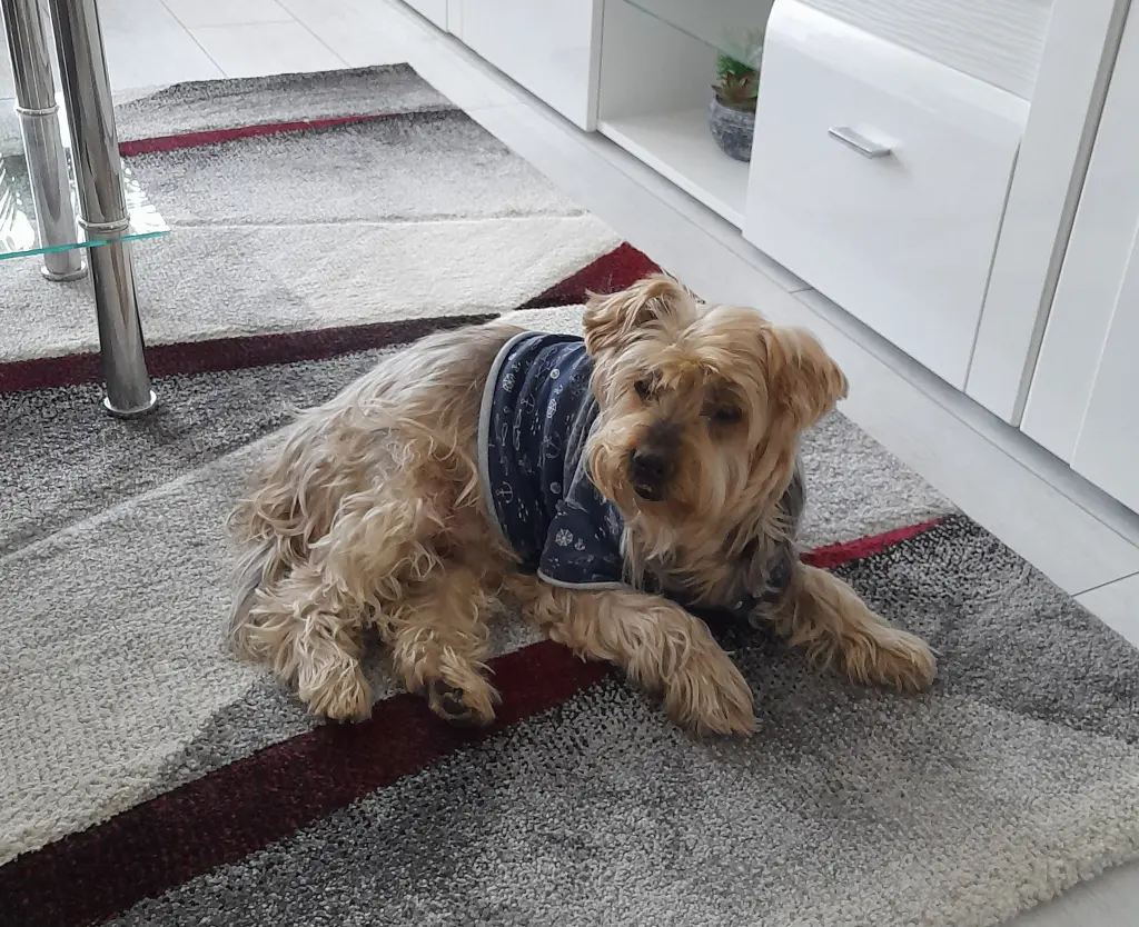 Condolence image of Ewa & Krzysztof 