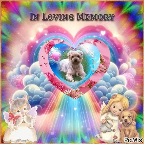 Condolence image of 84. Tygodnie....Bez Ciebie❤️⭐️Ukochany❤️❤️❤️❤️❤️❤️❤️❤️Jackusiu❤️⭐️