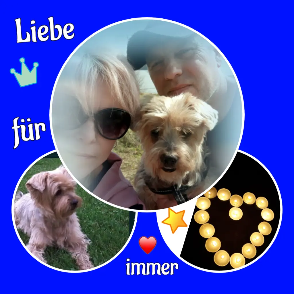 Condolence image of Martina mit Samy ♥️⭐♥️ für immer im Herzen 