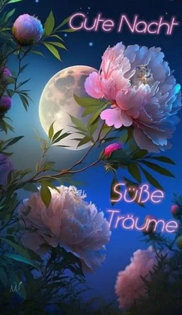 Condolence image of ⭐️Dobranoc nasz najdroższy Jackusiu♥️