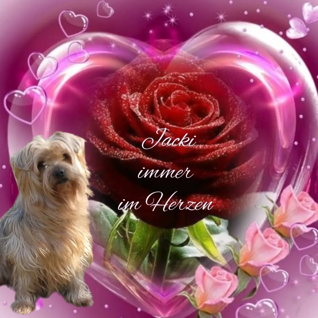 Condolence image of ♥️