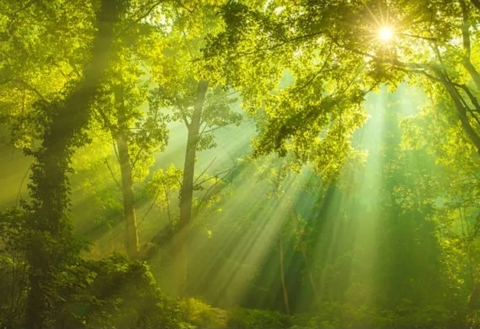 Condolence image of Ewa & Krzysztof 