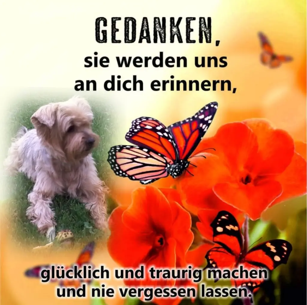 Condolence image of Ewa & Krzysztof 