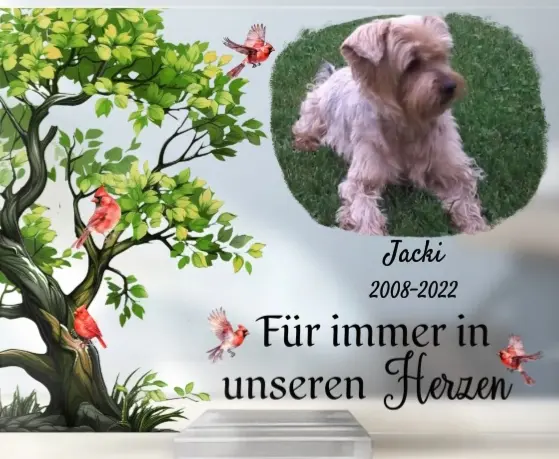 Condolence image of Martina mit Seelenhund Samy ♥️⭐♥️ für immer im Herzen 