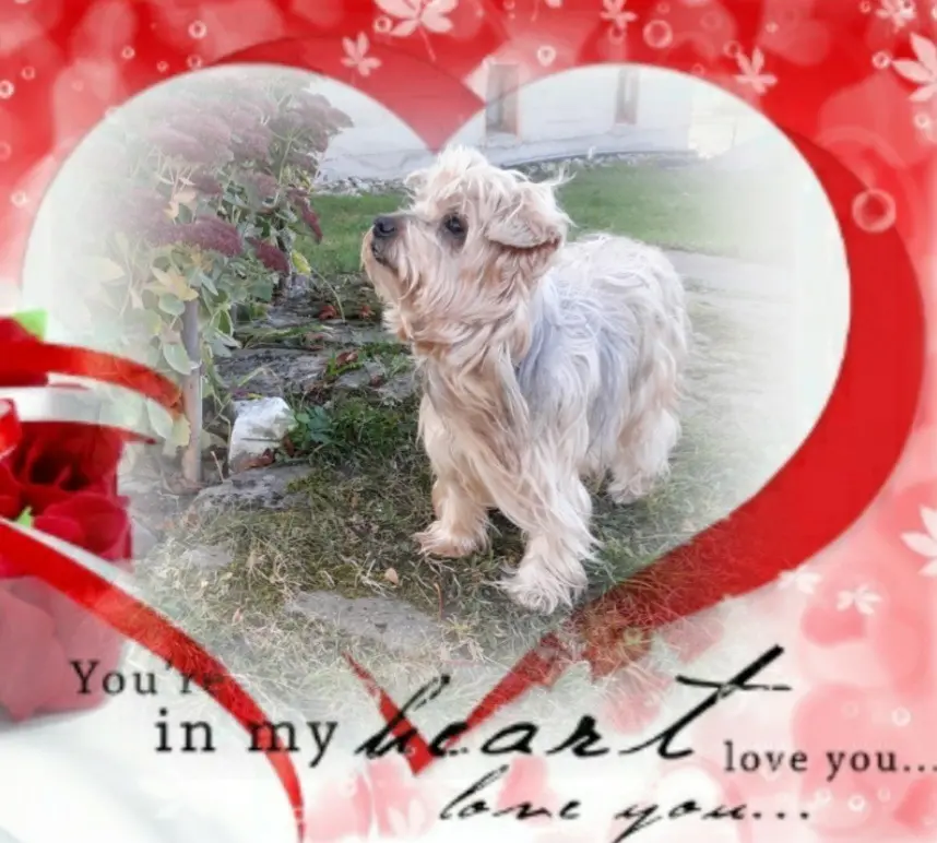 Condolence image of Ewa & Krzysztof 