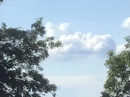 Condolence image of Angelika mit Luna ❤️