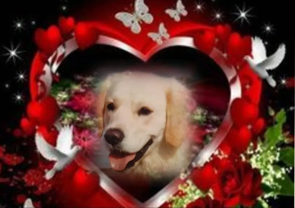 Condolence image of Claudia mit ASKO ❤ 