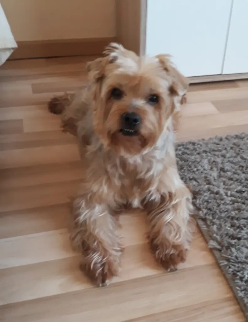 Condolence image of Ewa & Krzysztof 