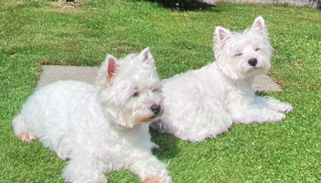 Condolence image of Unbekannt