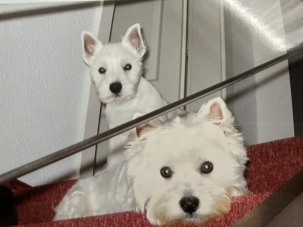 Condolence image of Unbekannt