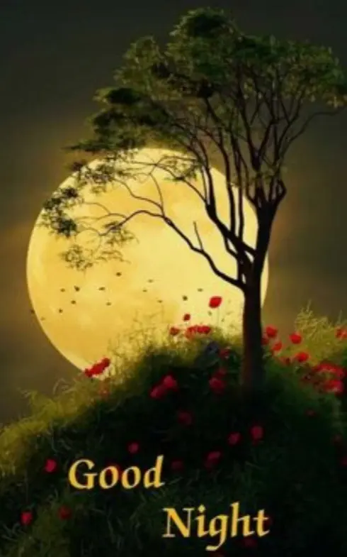 Condolence image of ⭐️Dobranoc nasz najdroższy Jackusiu♥️