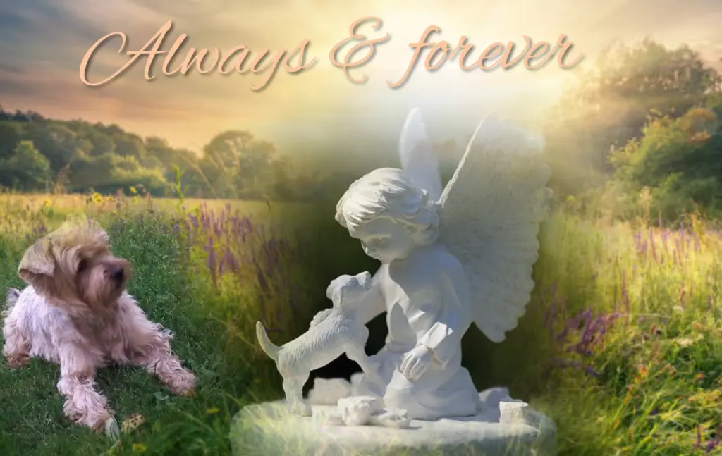 Condolence image of ♥️