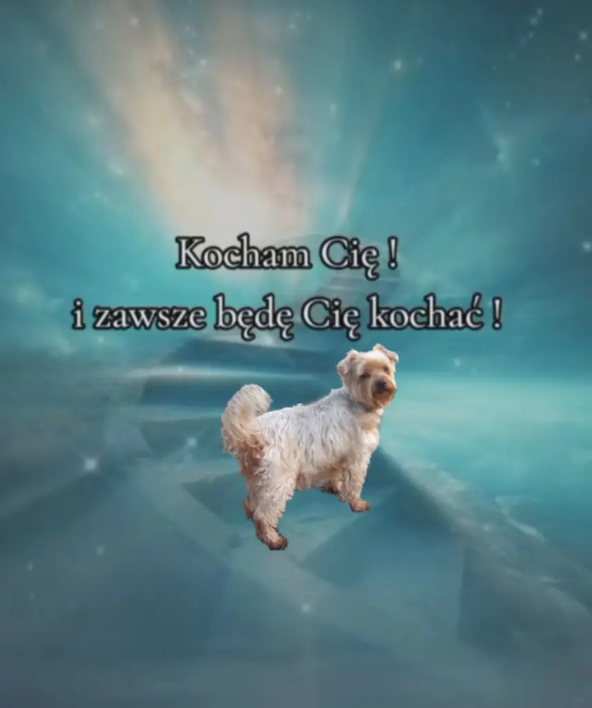 Condolence image of ♥️List z nieba♥️