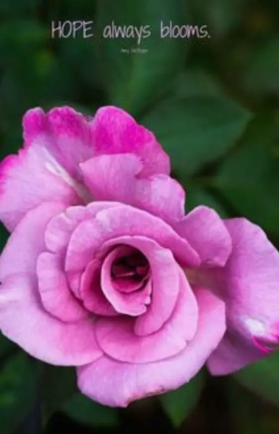 Condolence image of ♥️