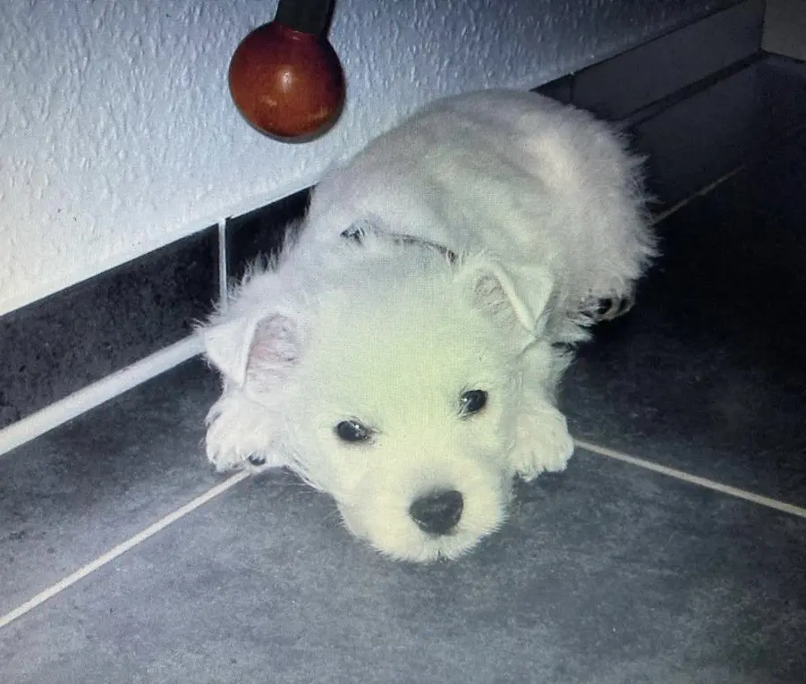 Condolence image of Unbekannt