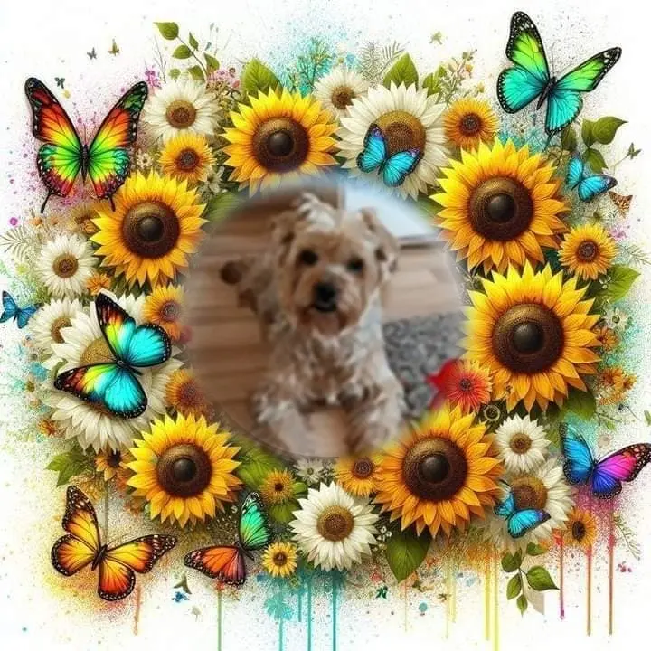 Condolence image of 89. Tygodni.....Bez Ciebie❤️⭐️.......