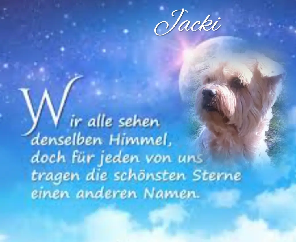 Condolence image of ⭐️Dobranoc nasz najdroższy Jackusiu♥️