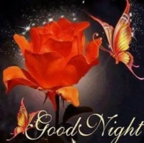 Condolence image of ⭐️Dobranoc nasz najdroższy Jackusiu♥️