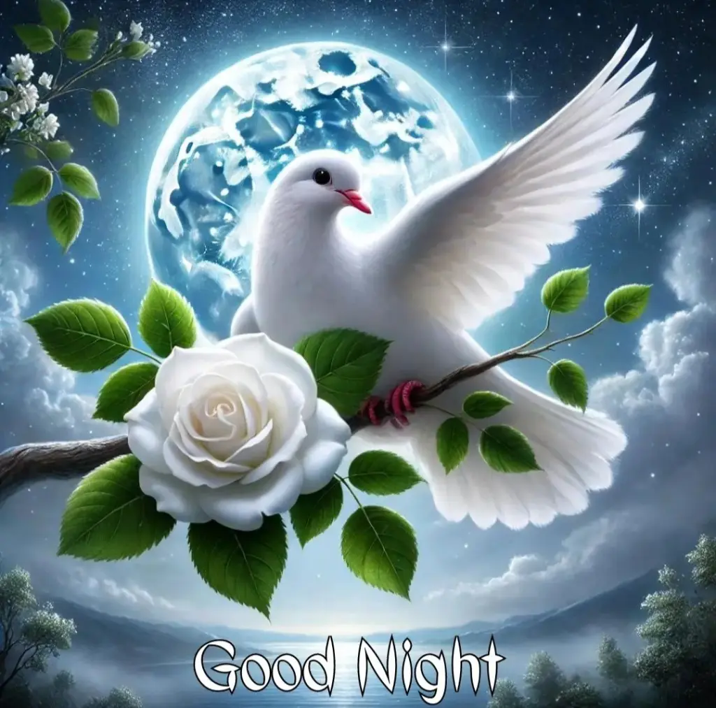 Condolence image of ⭐️Dobranoc nasz najdroższy Jackusiu♥️