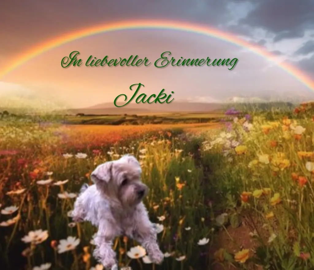 Condolence image of 21 Monate..... Sehnsucht ❤️