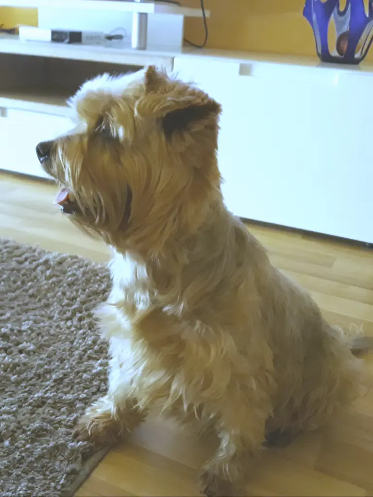 Condolence image of Ewa & Krzysztof 