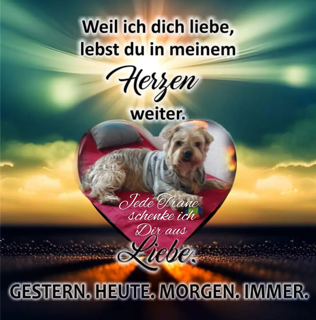 Condolence image of Ewa & Krzysztof 