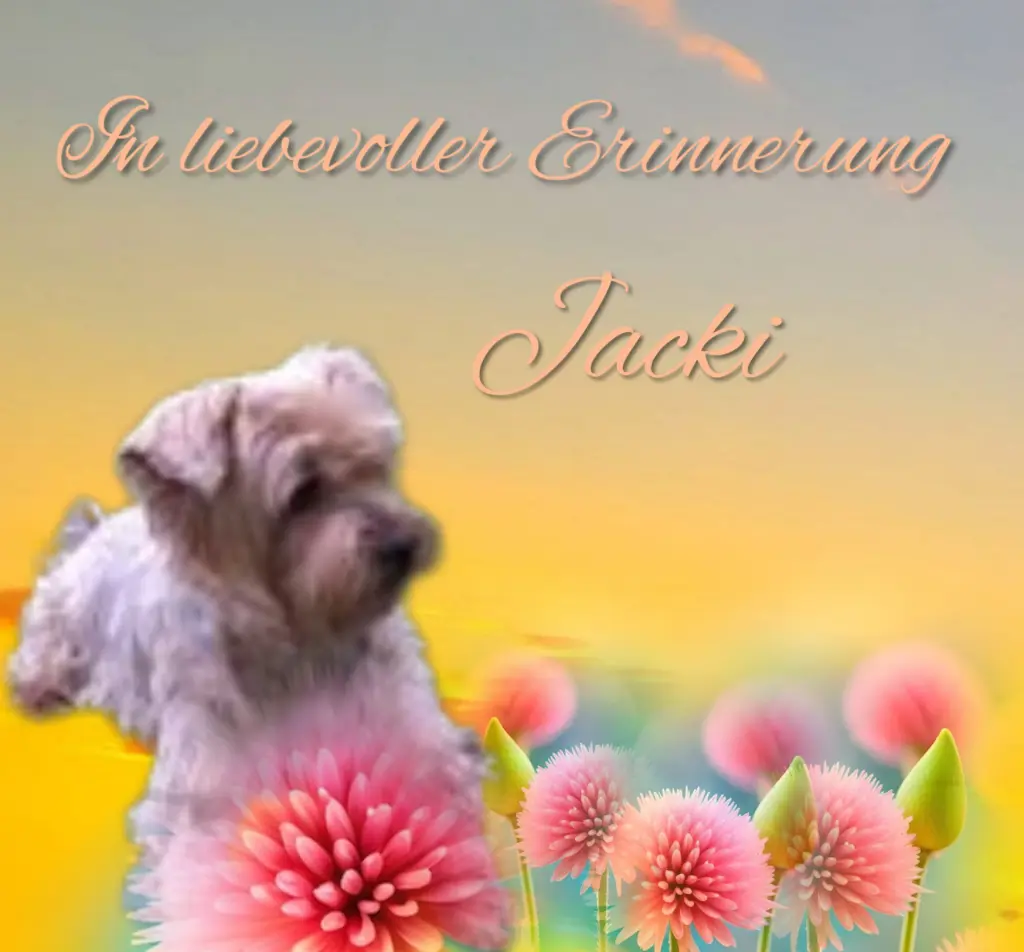 Condolence image of ❤️Immer im Herzen ❤️