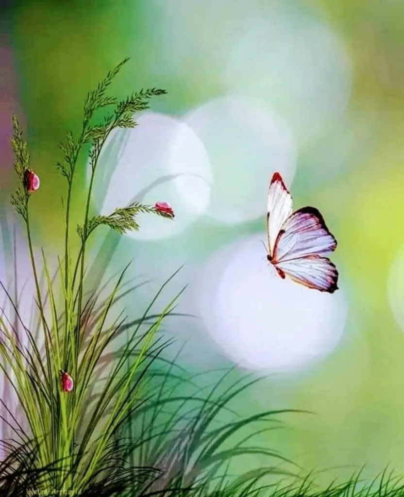 Condolence image of Ewa & Krzysztof 