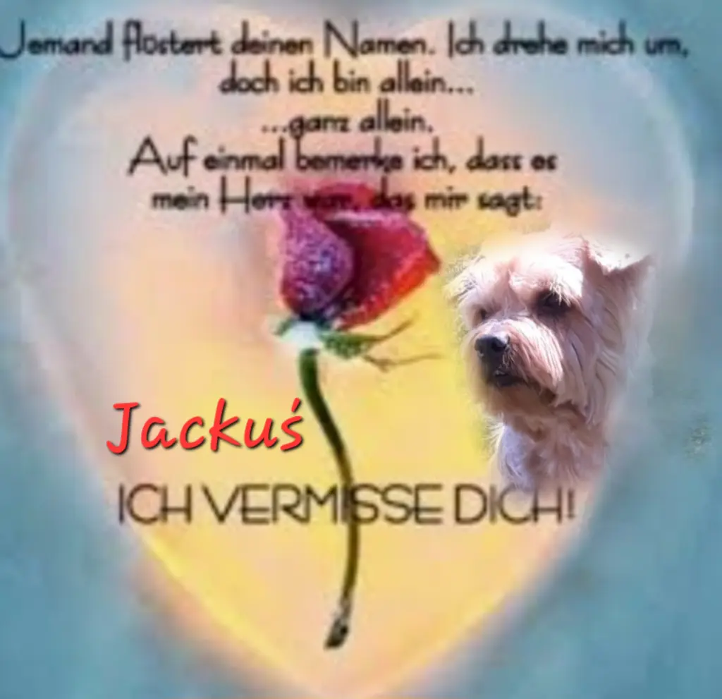 Condolence image of ♥️