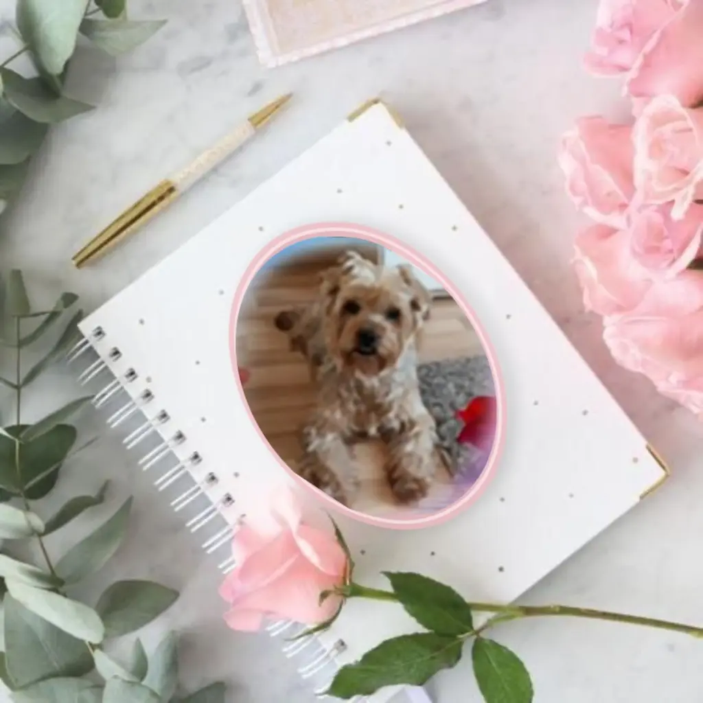 Condolence image of 93. Tygodnie.......Bez Ciebie❤️⭐️Ukochany❤️❤️❤️❤️❤️❤️❤️Jackusiu❤️⭐️