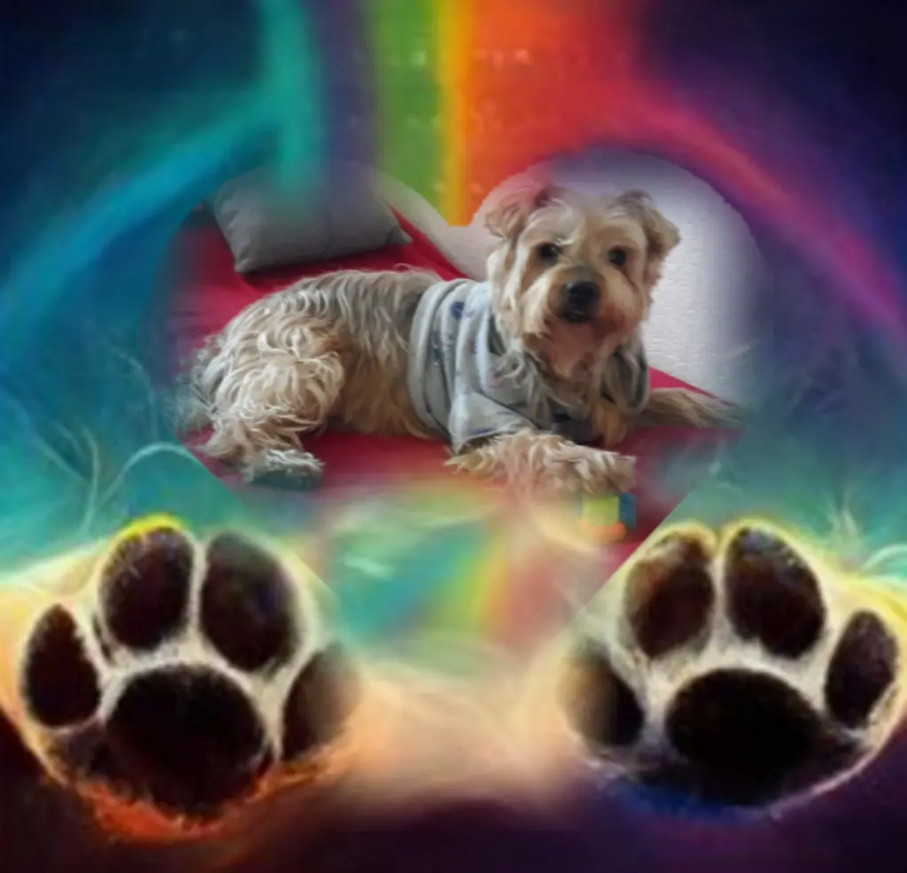 Condolence image of ♥️